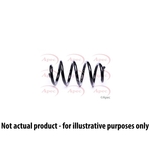 Apec Coil Spring Front (ACS2059)