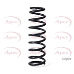 Apec Coil Spring Rear (ACS2138)