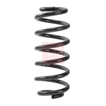 Apec Coil Spring - Front (ACS2466) Fits: VAG