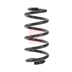 Apec Coil Spring - Front (ACS2480) Fits: VAG