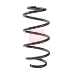 Apec Coil Spring - Front (ACS2487) Fits: Ford