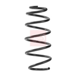 Apec Coil Spring - Front (ACS2489)