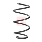 Apec Coil Spring - Front (ACS2492) Fits: Mercedes