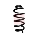 Apec Coil Spring Rear (ACS1815)