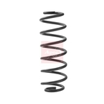 Apec Coil Spring - Rear (ACS2448) Fits: VAG