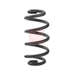 Apec Coil Spring - Rear (ACS2451) Fits: VAG