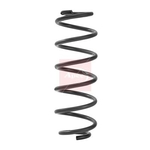 Apec Coil Spring - Rear (ACS2460) Fits: VAG
