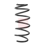 Apec Coil Spring - Rear (ACS2462) Fits: Honda