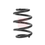Apec Coil Spring - Rear (ACS2463) Fits: Mercedes