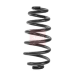 Apec Coil Spring - Rear (ACS2471) Fits: VAG