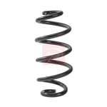 Apec Coil Spring - Rear (ACS2482) Fits: Nissan
