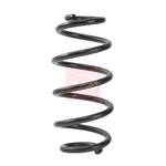 Apec Coil Spring - Rear (ACS2484) Fits: Mercedes
