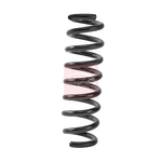Apec Coil Spring - Rear (ACS2496) Fits: BMW