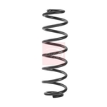 Apec Coil Spring - Rear (ACS2497) Fits: VAG