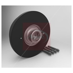 Apec Crankshaft Pulley (TVD) with Screws (ATV1130) Fits: BMW