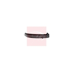 Apec Direction Indicator for Right Exterior Mirror (AMB3202) Fits: Nissan