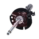 Apec Shock Absorber (ASA2066) Fits: Ford Front Right