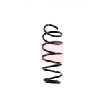 Apec Coil Spring (ACS1406) Fits: Peugeot Front