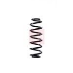 Apec Coil Spring (ACS1472) Fits: Seat Rear
