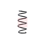 Apec Coil Spring (ACS1671) Fits: Nissan Front