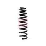 Apec Coil Spring (ACS1725) Front