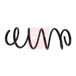 Apec Coil Spring (ACS1856) Fits: BMW Front