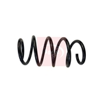 Apec Coil Spring (ACS1896) Fits: Seat & VW Front