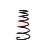 Apec Coil Spring (ACS1992) Rear