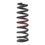 Apec Coil Spring (ACS2450) Fits: Toyota Front