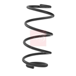 Apec Coil Spring (ACS2452) Fits: Nissan Front