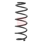 Apec Coil Spring (ACS2464) Rear