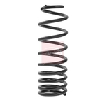 Apec Coil Spring (ACS2503) Fits: Ford Rear