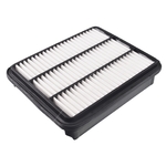 Blue Print Air Filter Insert (ADC42225)