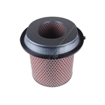 Blue Print Air Filter Insert (ADC42229)