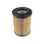 Blue Print Air Filter Insert (ADD62224)