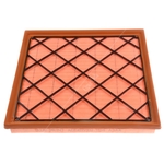Blue Print Air Filter Insert (ADG022102)