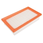 Blue Print Air Filter Insert (ADG022165)