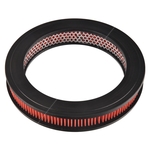 Blue Print Air Filter Insert (ADH22209)