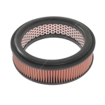 Blue Print Air Filter (ADN12210) High Quality Filtration for Nissan