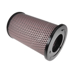 Blue Print Air Filter (ADN12274) High Quality Filtration for Nissan