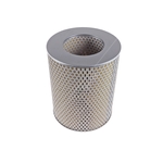 Blue Print Air Filter Insert (ADZ92202)