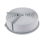 Blue Print Air Filter Insert (ADZ92205)