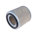 Blue Print Air Filter Insert (ADZ92210)