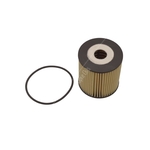 Blue Print Oil Filter (ADF122113) High Quality Filtration for Volvo