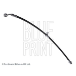 Blue Print Brake Hose (ADH253109)
