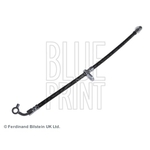 Blue Print Brake Hose (ADH253119)