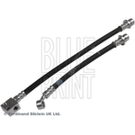 Blue Print Brake Hose (ADH253187)