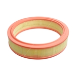 Blue Print Air Filter Insert (ADL142223)