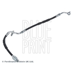 Blue Print Brake Hose (ADM553107)