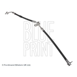Blue Print Brake Hose (ADM553117C)